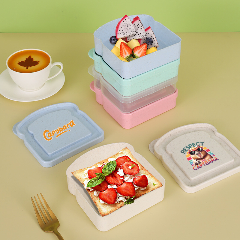 카피바라 샌드위치 음식 보관 케이스 컨테이너 샐러드 과 - Food Storage With Dividers 리뷰 및 가격